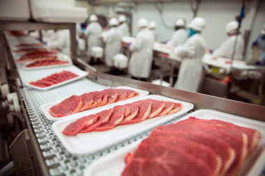 豬排在處理廠包裝廠原料有機(jī)