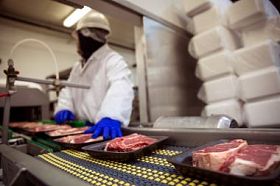 肉类食品处理安全手套和西装戴着面具