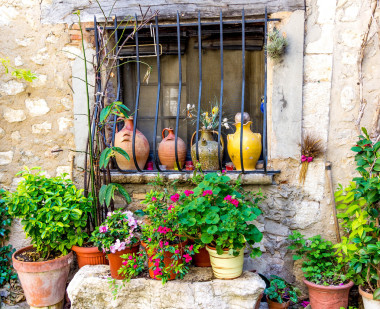 用鮮花的窗口圖片