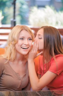 溝通在咖啡館里的兩個(gè)女友圖片