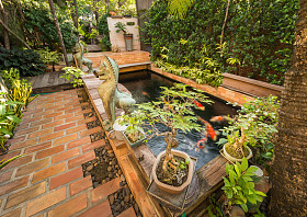 花园和鱼的池塘照片