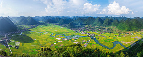 Bac 的儿子，越南流域稻田
