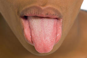 伸出舌头的模型