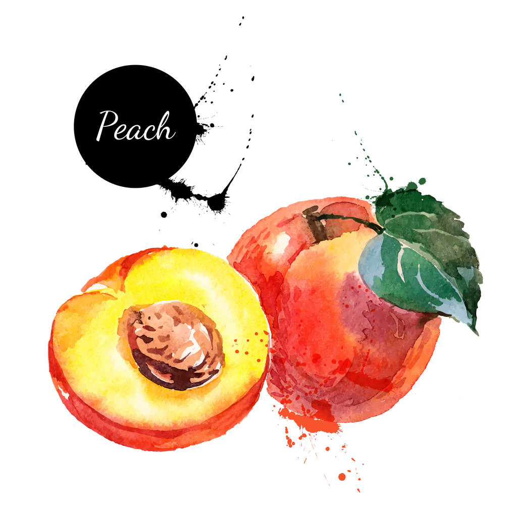 手绘水彩绘画桃子图片 手绘水彩绘画桃子图片