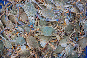 在市场上的蓝色游泳蟹