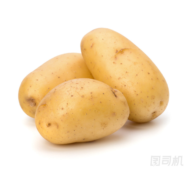 新土豆