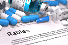 Diagnosis - Rabies medical concept 3D rendering