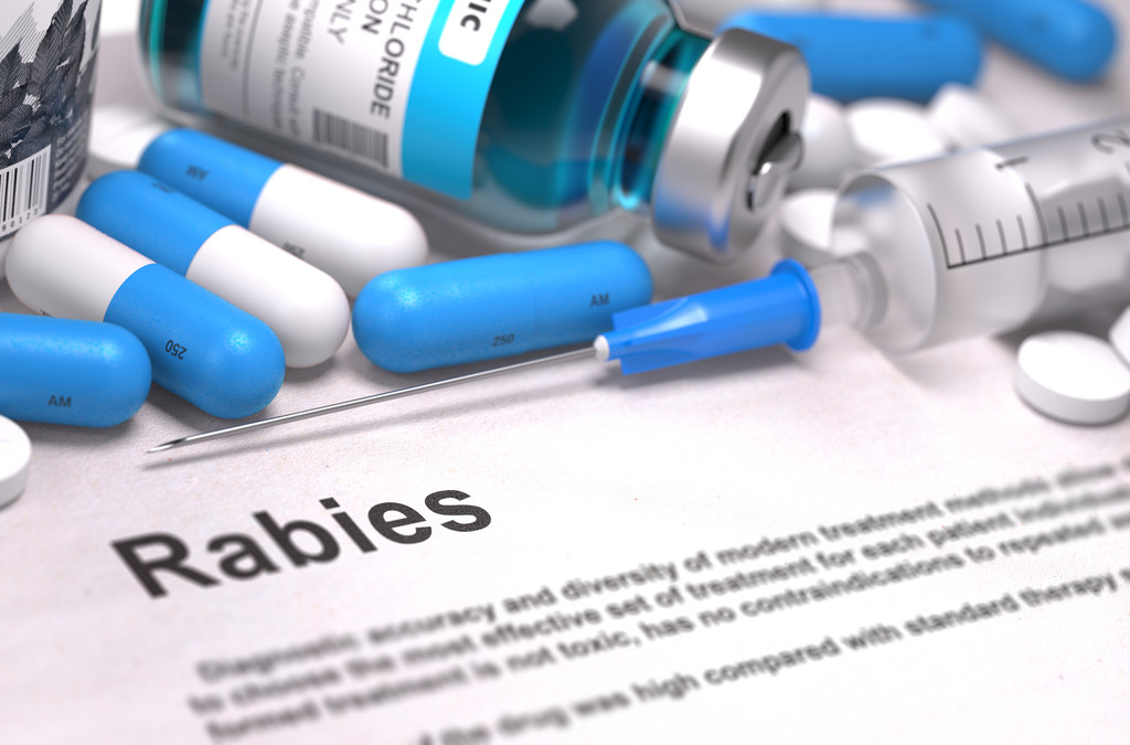 Diagnosis - Rabies medical concept 3D rendering