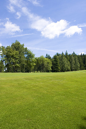 高尔夫球场图片