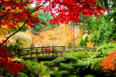 在一個(gè)花園中橋