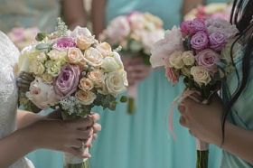 美丽的玫瑰花儿照片