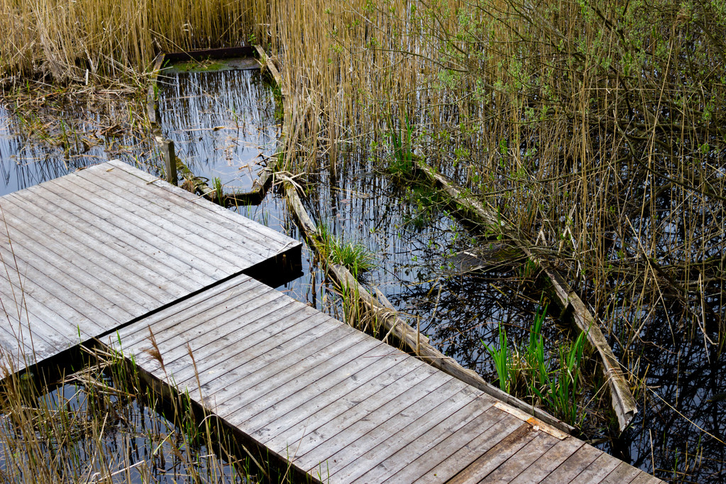 被遗弃的沉没杂草丛生的划艇图片