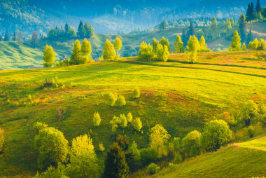 喀尔巴阡黄色谷