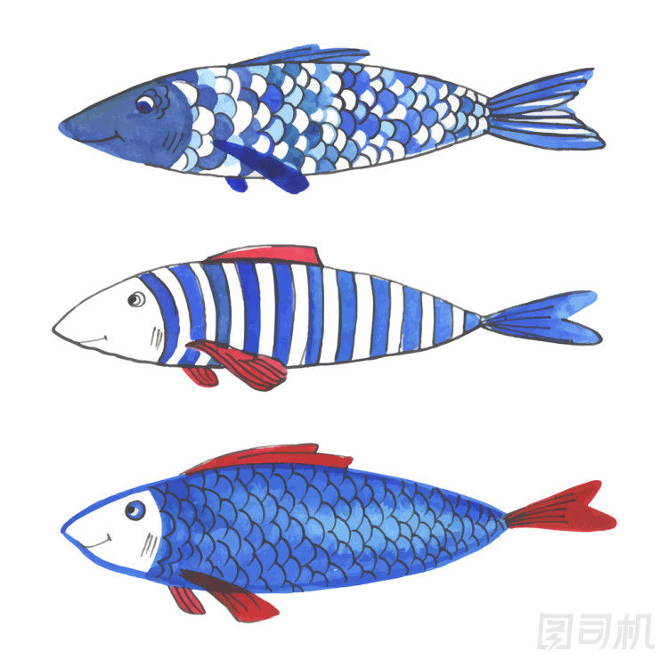 水彩有趣的