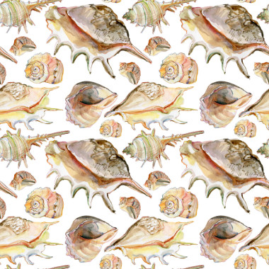 贝壳背景无缝水彩