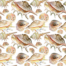 贝壳背景无缝水彩