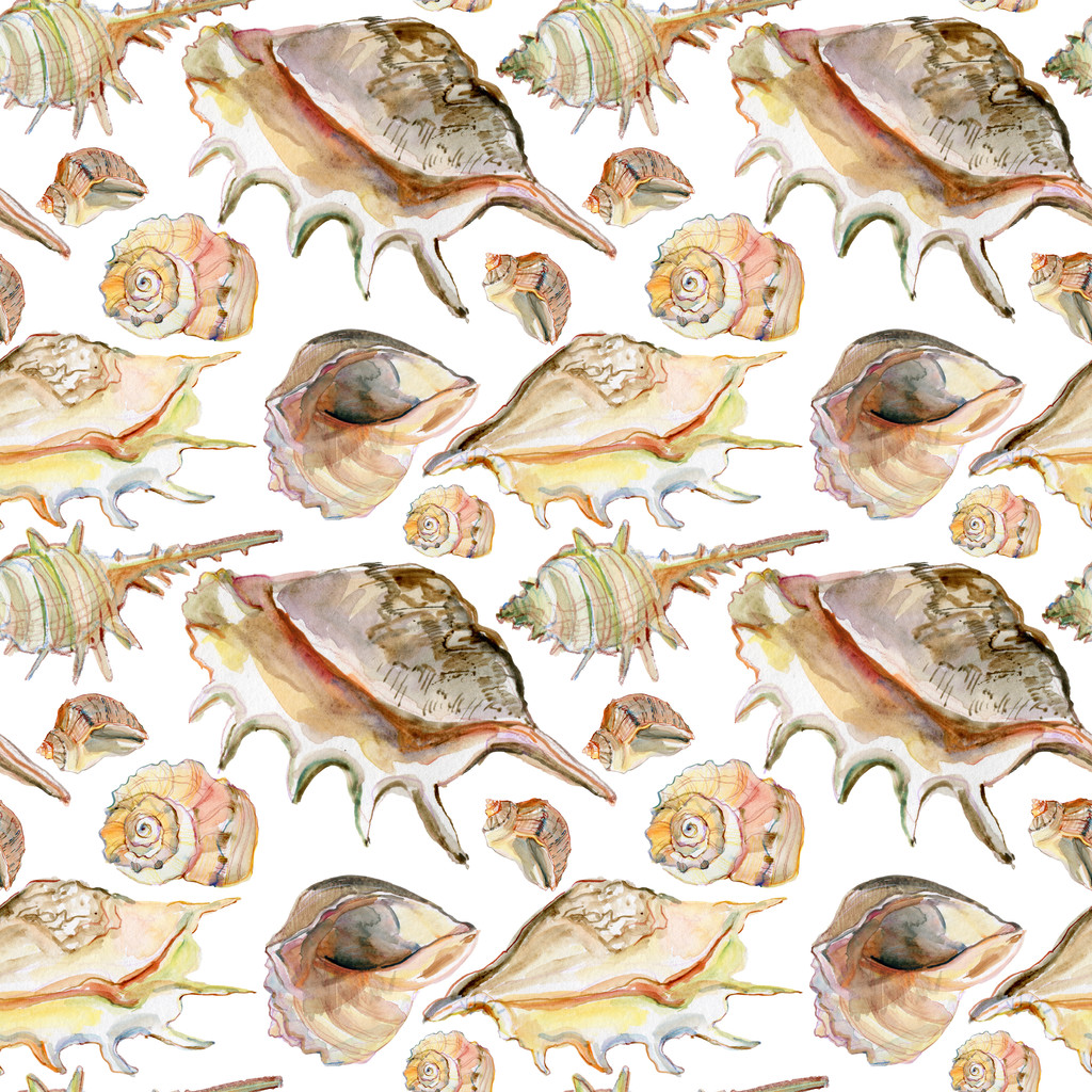 贝壳背景无缝水彩