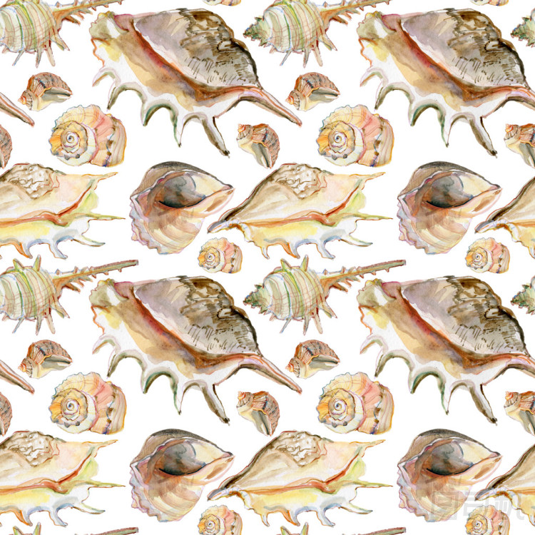 貝殼背景無(wú)縫水彩