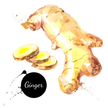 廚房里的藥草和香料橫幅