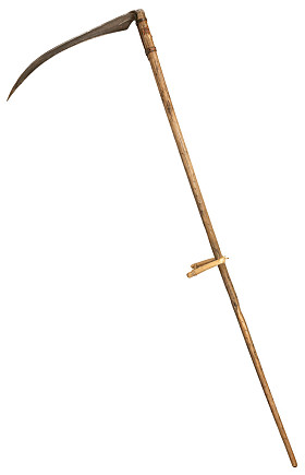 古老的镰刀草孤立在白色背景上死亡的象