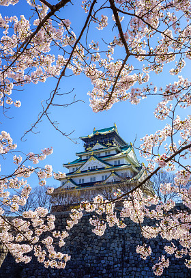 大阪城堡，大阪，日本图片