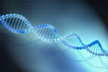 数字说明了在蓝色背景的 dna 模型
