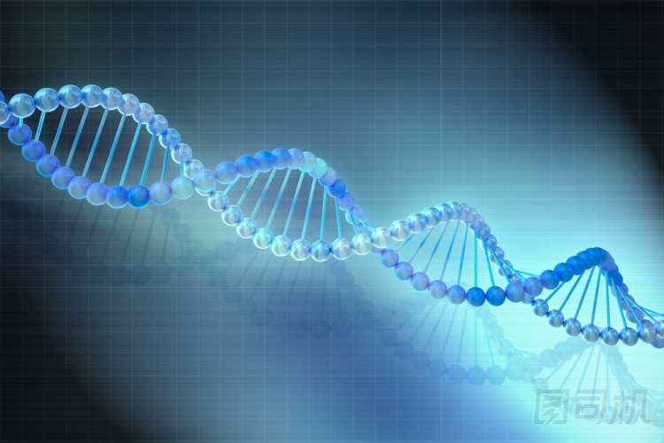 數(shù)字說明了在藍色背景的 dna 模型