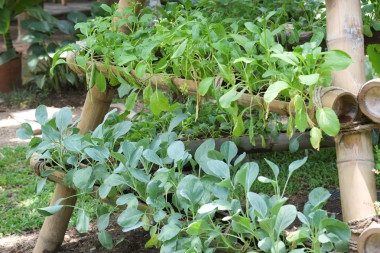 美麗與植物生態(tài)友好的垂直花園