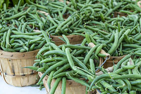 新鲜的有机水果和蔬菜在农贸市场