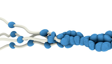 抽象的生物結(jié)構(gòu)圖片