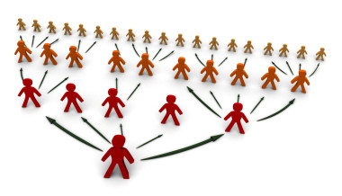 樹的業(yè)務網絡照片