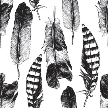 無縫模式與手拔的羽毛照片