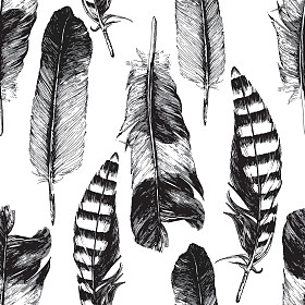 无缝模式与手拔的羽毛照片