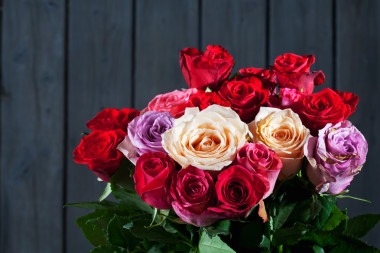 七彩玫瑰花束图片