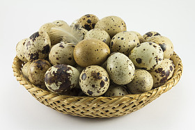 鹌鹑蛋在柳条椭圆形照片