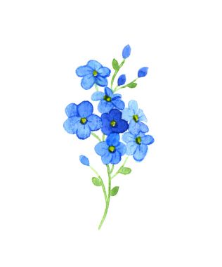 花忘了-我图片