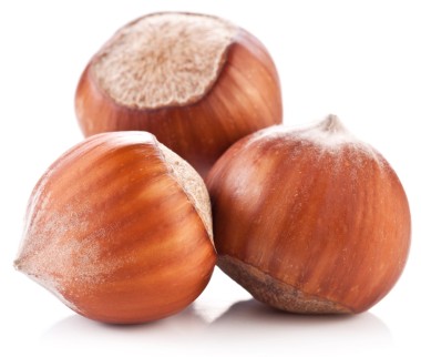 坚果榛子隔离照片