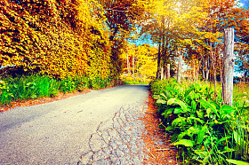 秋季景观与乡村路图片