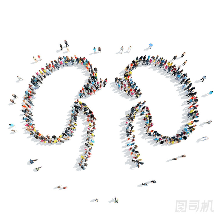人形肾药图片