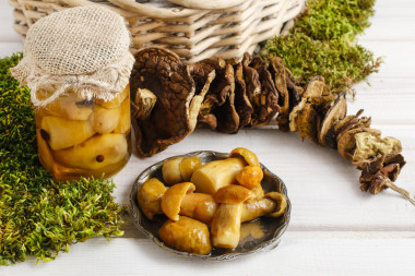 鹽漬的蘑菇圖片