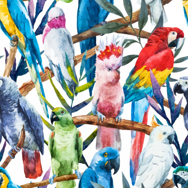 水彩鸚鵡圖案照片