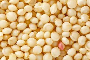 放大苋菜粮食图片