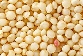 放大苋菜粮食图片