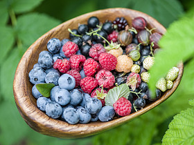 成熟的浆果，在绿草上的木碗