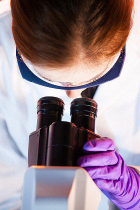 生命科学实验室的研究员 microscoping