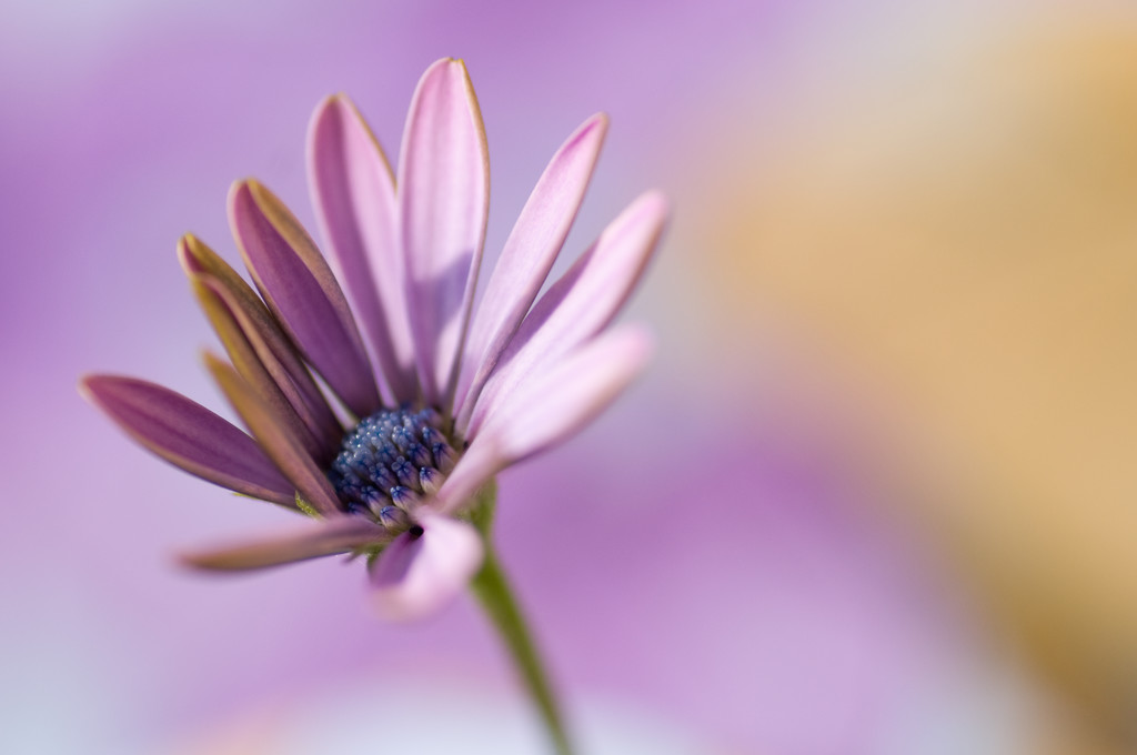 展开图片 展开图片