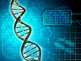 Dna 代