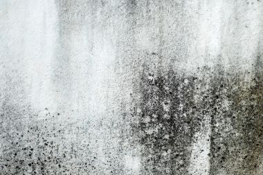 grunge 石頭砌的墻圖片