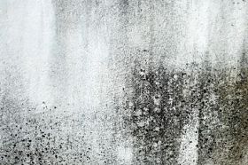 grunge 石头砌的墙图片