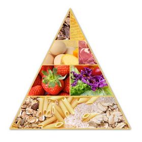 食物金字塔图片